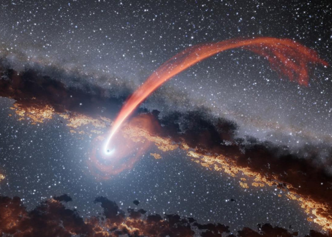 Star-sucking black holes
